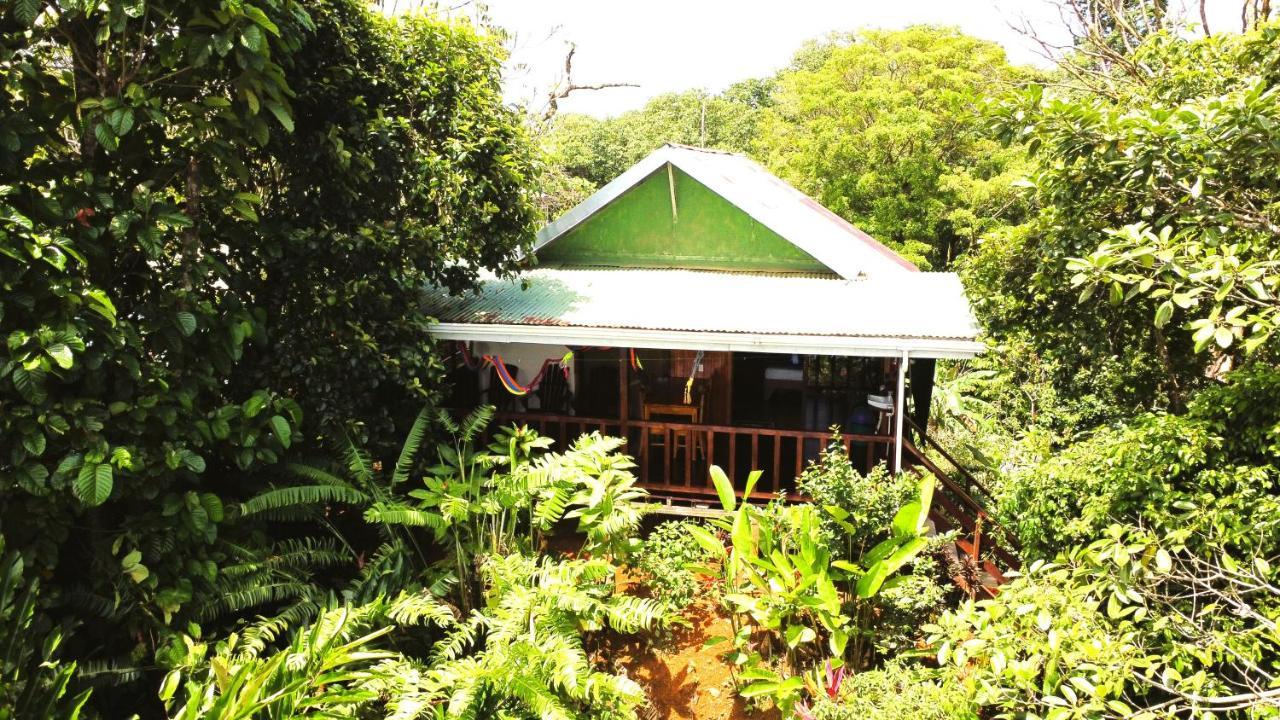 Cabana Ara Macao Lodge Drakes Bay Kültér fotó