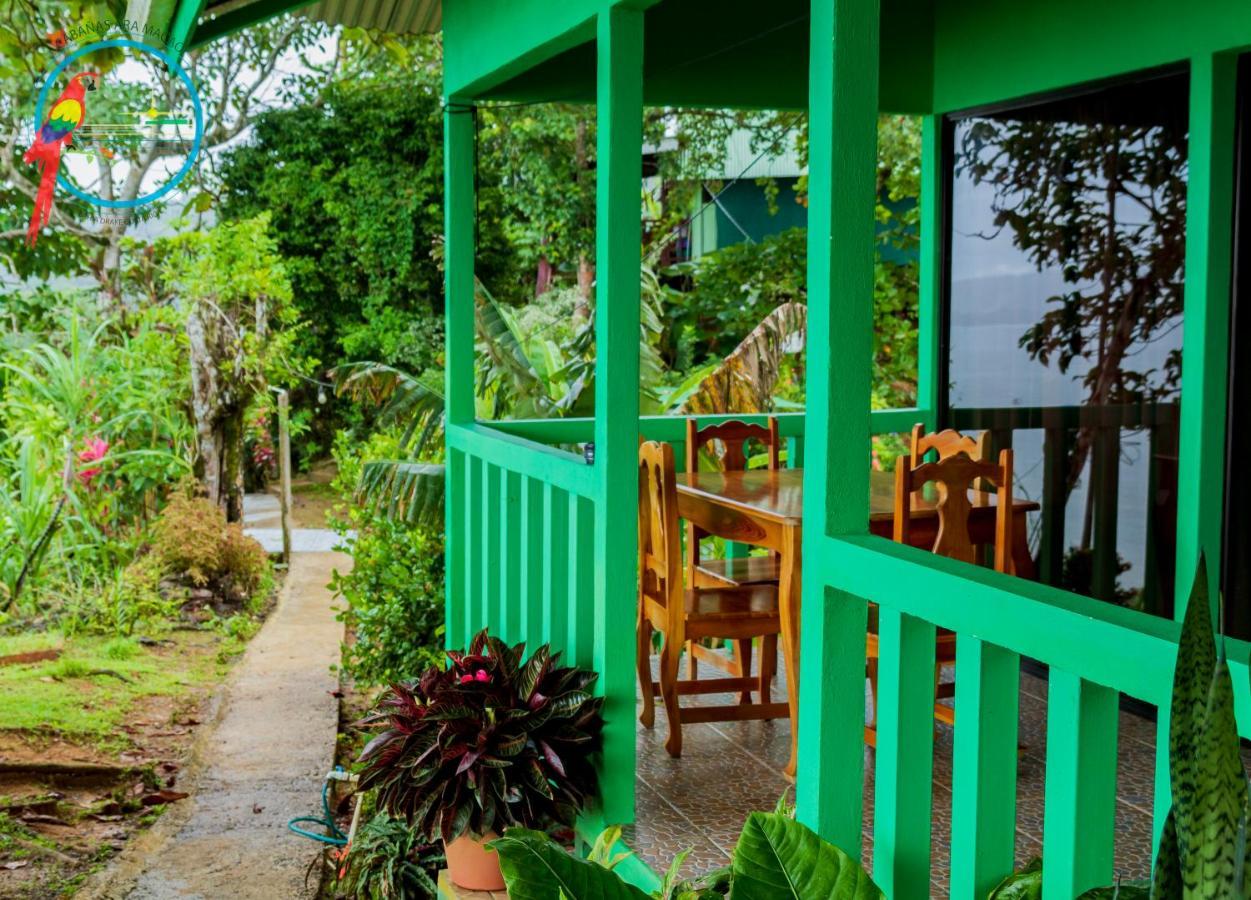 Cabana Ara Macao Lodge Drakes Bay Kültér fotó
